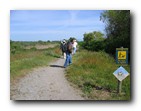 Boundary Bay - Raised trail