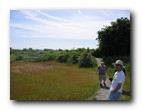Boundary Bay - Trail and field