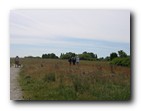 Boundary Bay - Trail and field
