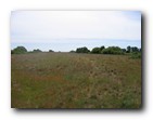 Boundary Bay - Field