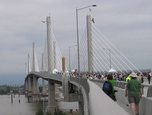 Golden Ears Bridge Span