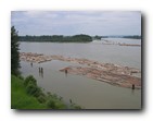Golden Ears Bridge View