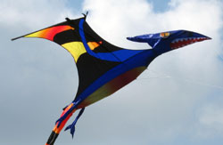 Pterodactyl Kite