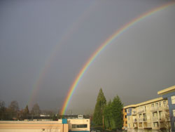 Left side of Rainbow