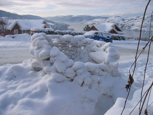 Snow Fort back