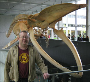 Dale and blue whale skeleton