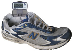 Pedometer and Shoe